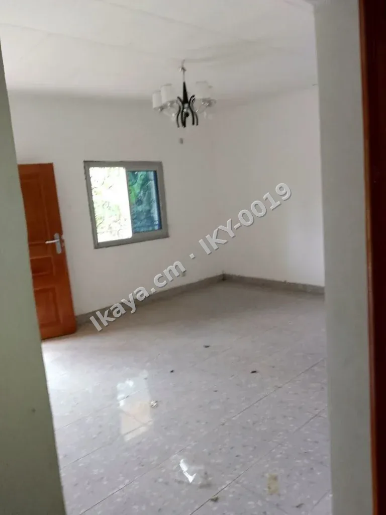 Très vaste studio moderne neuf à louer à Elabé — photo 2 sur 9